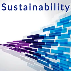 sustainable waste consultancy