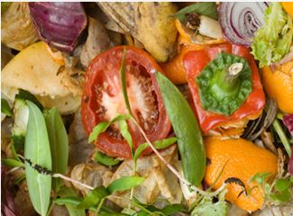 Food-Waste-Composting