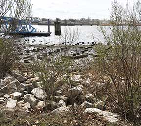 Harbor Park project site