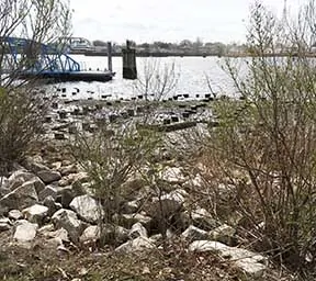 Harbor Park project site