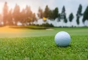 Golf Course Remediation