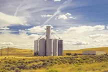 Agricultural Industry