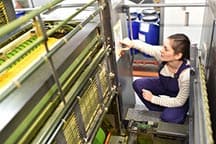 Printing Industry