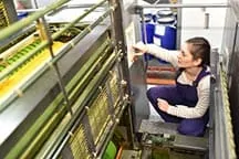 Printing Industry