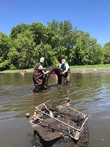 environmental cleanup