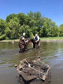 environmental cleanup