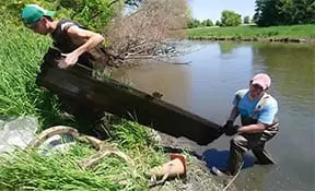 river cleanup