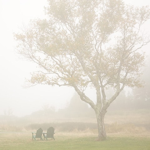Two Chairs