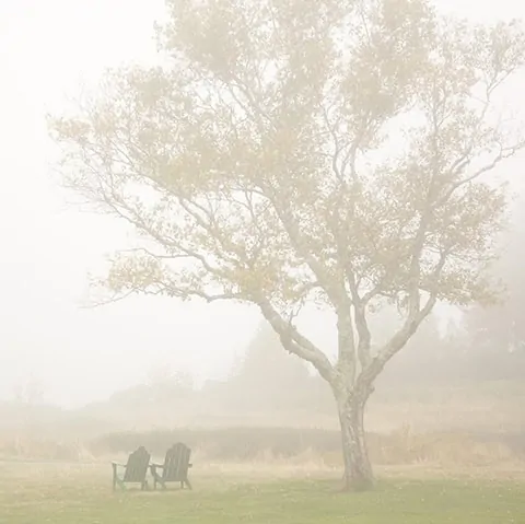 Two Chairs