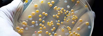 COVID-19 Post-Cleaning Microbiological Evaluation
