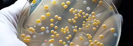COVID-19 Post-Cleaning Microbiological Evaluation