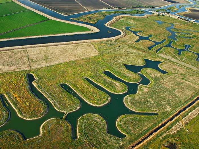 net zero california