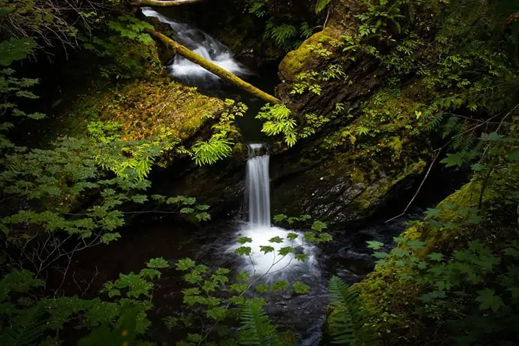 Western Washington