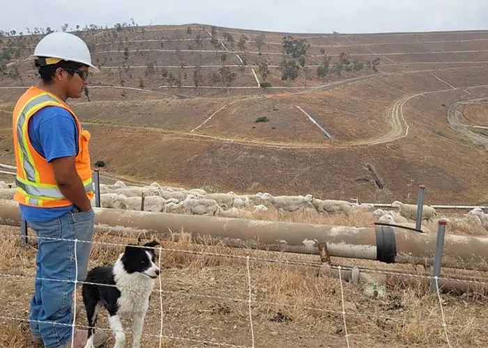 Landfill Operator