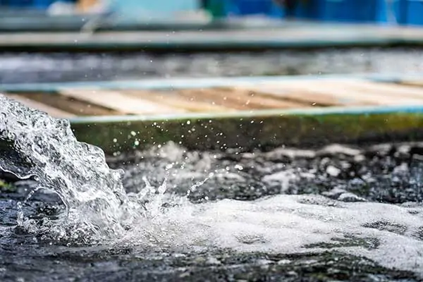 wastewater treatment in meat processing industry